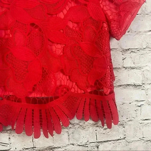 HP🔥Lovers + Friends Daycation Crop Top Blouse Lace Red M Short Sleeve Scallop - Picture 5 of 9
